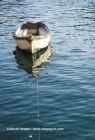 Boat With Feather - photograph by David Hawtin