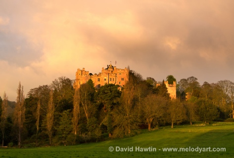 Dunster Castle By Morning Light - photograph, photo, landscape, Exmoor, David Hawtin