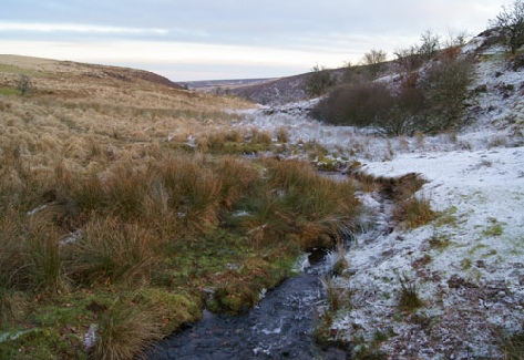 Frost At Nutscale Coombe - photograph, photo, landscape, Exmoor, David Hawtin