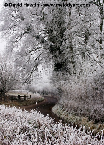 Frosty Lane - Tichbourne - photograph, photo, landscape, Exmoor, David Hawtin