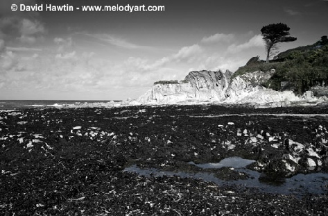 Low Tide at Lee Bay, photograph, photo, seascape, exmoor, David Hawtin