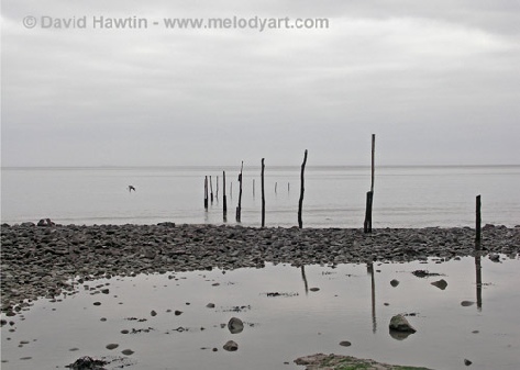 Minehead Sticks, photograph, photo, seascape, exmoor, David Hawtin