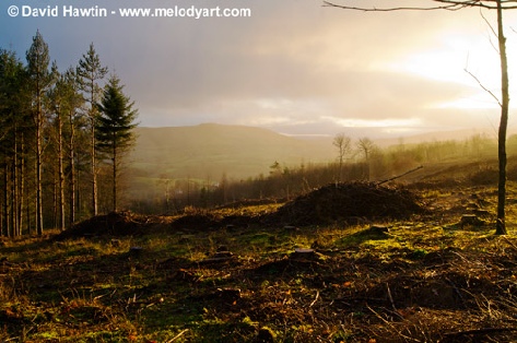 Morning Light on Exmoor - photograph, photo, landscape, Exmoor, David Hawtin