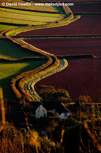 Red Soil In The Sunset - photograph, photo, landscape, Exmoor, David Hawtin