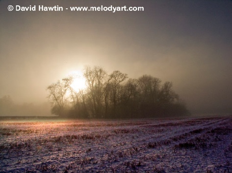 Tichbourne Mist - photograph, photo, landscape, Exmoor, David Hawtin